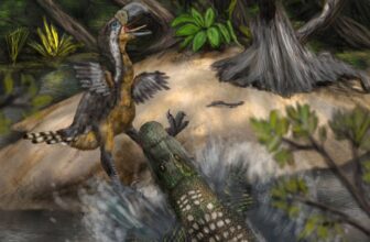 An Even Scarier Predator Hunted Giant ‘Terror Birds’ in South America