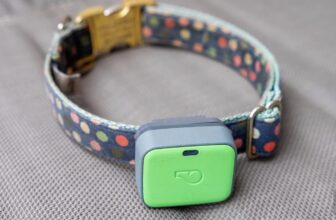 Whistle pet trackers are shutting down next month