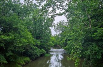 The Little Things Newsletter #478 – Life, laughter, lots of great food!