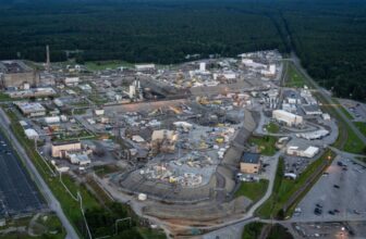 Radioactive Wasp Nest Found in Decommissioned Nuclear Weapons Plant