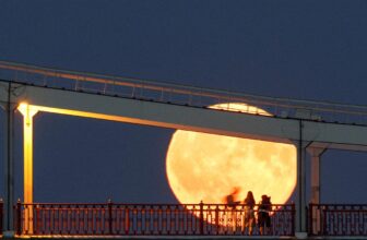 Why on Earth would NASA build a nuclear reactor on the Moon?