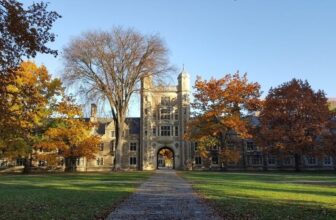 AI Is Crushing the Early Career Job Market, Stanford Study Finds