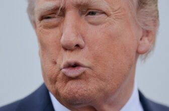 Trump Admin Has Dropped a Third of All Investigations Into Big Tech, Advocates Say