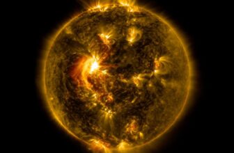 The Sun Is Entering a New and Unexpected Active Stage