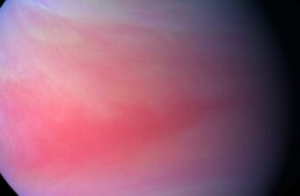 Japanese Probe That Famously Sent Fictional Pop Star to Venus Is Officially Dead