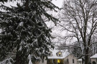 The Little Things Newsletter #498 – Life, laughter, and lots of great food!